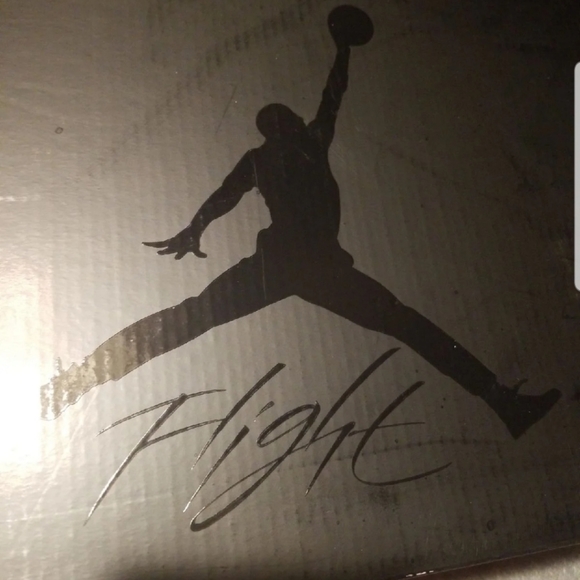 Air Jordan 4 retro flyknit - Picture 4 of 7